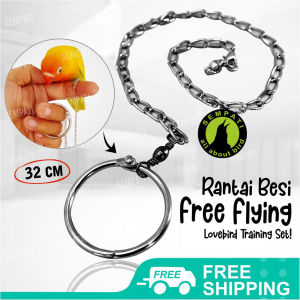 SEMPATI Rantai Burung Tali Burung Free Fly Ff Rantai Lovebird Rantai Besi Ring Lovebird Ikat Kaki Umbaran Training Love Bird Pentet Kacer Murai Batu Jalak 4 Mm RTBLB