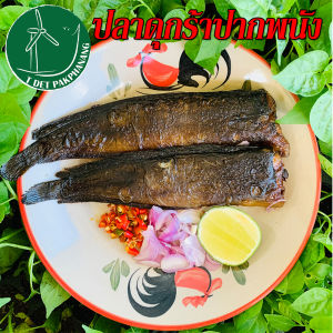 ปลาดุกร้า 500 กรัม ปลาดุกร้าสะอาด ปลาดุกร้าปากพนัง