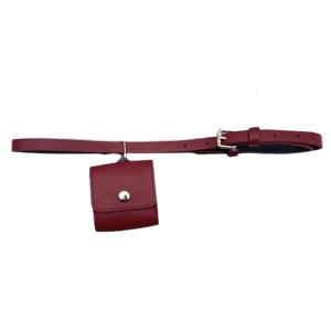 Trendy Girls Mini Waist Bag Belt Adjustable Waist Strap Waistband with Small Waist Pocket for Phone Keys and Essential