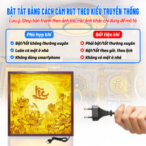Đèn Hào Quang Hoa Sen Chữ Lộc In Tranh Trúc Chỉ Vuông Trang Trí Phòng Thờ Bàn Thờ Treo Tường TC-TV-76