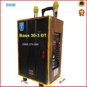 Loa di động Bluetooth chính hãng BNIBBNIB-12 bass 30 cm- 3 đường tiếng thùng gỗ cao cấtặng 2 mic không dây sóng UHF hút âm hát nhẹ