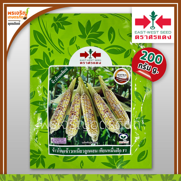 เมล็ดพันธุ์ศรแดง ข้าวโพดข้าวเหนียว เทียนหมื่นฝัก F1 สามสี