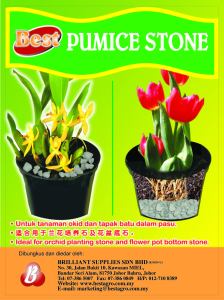 Batu Apong | Pumice Stone |  浮石 (1-3m3-5cm5-8mm8-10mm10-20mm) (20kg)
