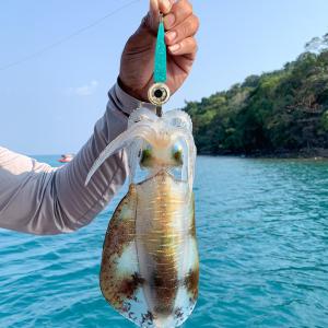 【New Arrival】 Bright LED Fish Lure Light for Deepwater Fishing Squid and Fish Attractant with Waterproof Design and Easy Installation