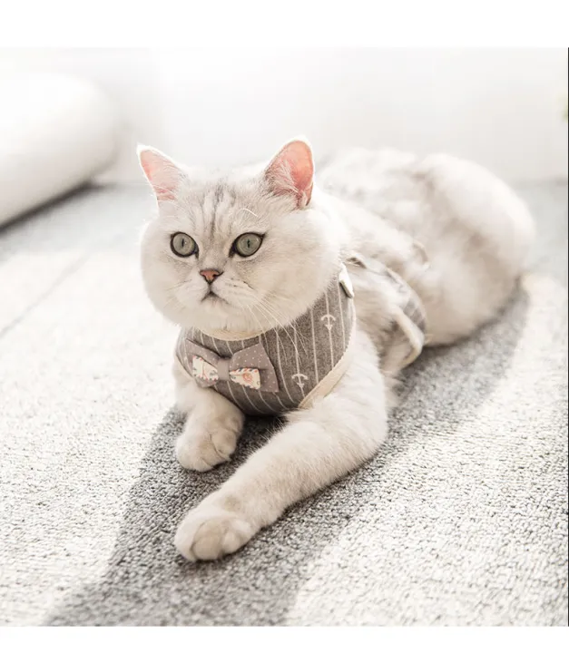 Korean%20Style%20Cat%20Harness%20with%20Leash%20Set%20Pet%20Walking%20Vest%20Lead%20Harness%20Adjustable%20Soft%20Mesh%20Kitten%20Puppy%20Small%20Dogs%20-%20Image%205