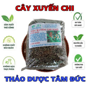 100g cây xuyến chi sấy khô