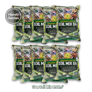 Combo 10 Túi Soil Mix 65dm³ - Đất Trồng Sen Đá Xương Rồng Hương Thảo - Giá Thể Hữu Cơ Trộn Sẵn Tơi Xốp HandyGarden