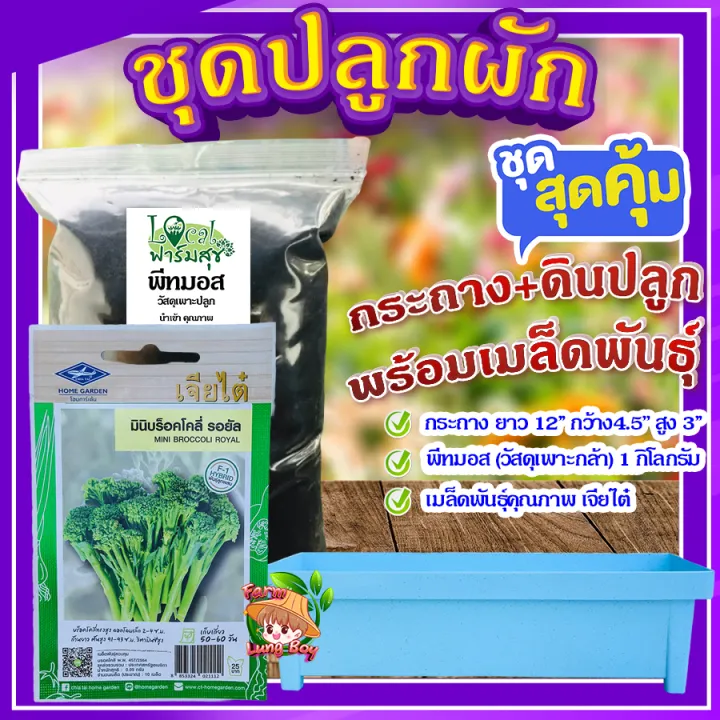 ชุดปลูกผักสวนครัว มินิบร็อคโคลี่ พร้อมดินและกระถาง