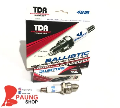 Busi TDR 481B RX King/FizR/RXZ/Tornado/Crystal/RC100