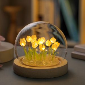 BNBs Corner | Đèn hoa tulip lồng cầu thủy tinh DIY | Set nguyên liệu