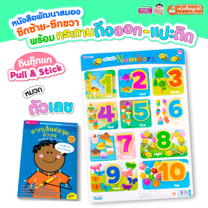 หนังสือเสริมพัฒนาสมองซีกซ้าย-ซีกขวา พร้อมกระดานดึงออก-แปะติด ตีนตุ๊กแก Pull & Stick (ซื้อแยกหมวดได้) ของเล่นเด็ก ดึง-แปะ