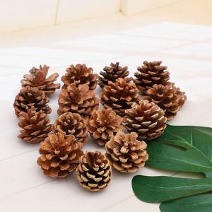 10Pcs Christmas Pine Cones Berry Pine Branch Snow Pinecones Pendant White Winter Holiday Ornament for DIY Crafts Home Decorations Xmas Tree Gift Tag Party Supplies