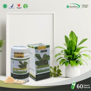 Kapsul Daun Beluntas Obat Penghilang Bau Badan Dan Keputihan