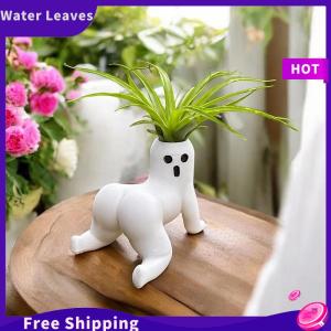 Water Leaves กระถางผีก้นใหญ่ตลก กระถางปลูกพืชอวบน้ำแสดงของตกแต่งกระถางต้นไม้ของขวัญตลกๆ