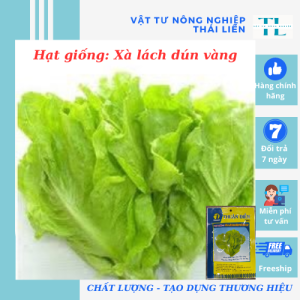 Hạt giống Xà Lách Mỡ Xà Lách dún vàng dễ trồng năng suất cao hàng công ty Thuận Điền