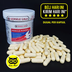 Kicau Mart Muscle Power Versele Laga Pil Kapsul Vitamin Obat Otot Burung Merpati Tinggian Pos Kolongan Perawatan Suplemen Recovery Pigeon Import MSPW