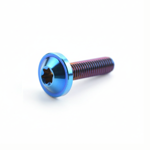 MIRELINA M6x10 Titanium Bolts M6x15 with Torx Head Torx Head Screws High Quality M6x20 Titanium Screws