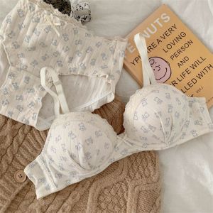 BM Studio [BM Wind Bear]ชุดชั้นในผู้หญิงหน้าอกเล็กรวบรวมแสดงชุดชุดชั้นในขนาดใหญ่ไม่มีแหวนเหล็กชุดชั้นในผู้หญิง2025หม