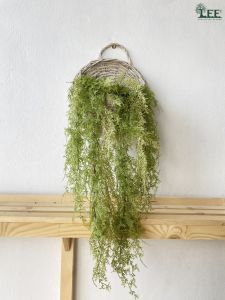 พุ่มไม้ติดผนัง ขนาดยาว 70 ซม ( กระเช้าสีน้ำตาล และ กระเช้าสีขาว ) ต้นไม้ปลอม ต้นไม้ประดิษฐ์ ตกแต่งบ้าน