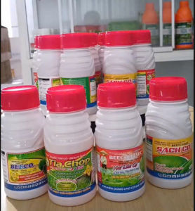 (10 tặng 1) Diệt cỏ sót Tia Chớp 345 Sạch Cỏ 345 Beeco 345 Hai lúa cỏ: trừ cỏ gạo cỏ lồng vực cỏ đuôi phụng không gây đỏ lúa