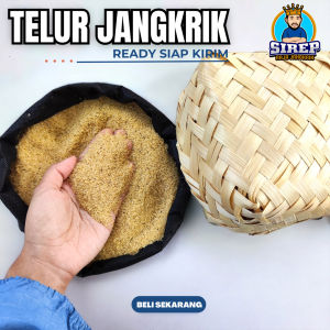 ready siap kirim telur jangkrik 1 kg kualitas bagus daya tetas 100% jenis alam murni tanpa campuran