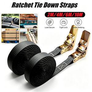 Cargo Strap with Ratchet Heavy Duty Max Tensile Force 800kg Adjustable Ratchet Cargo Tie Down Strap Luggage Belt 2m/4m/6m/10m