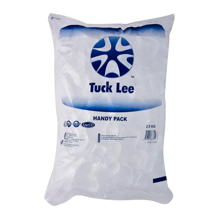 Tuck Lee Ice Handy Ice Pack 2.5 KG | Lazada Singapore