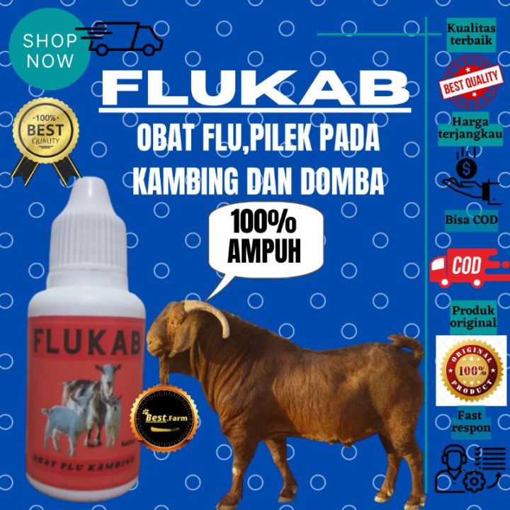 Obat Flu Hewan meredakan flu batuk pilek yang diformulasikan khusus untuk kambing domba babi RESTU IBUUU