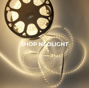 [Combo 10 mét] Dây đèn led 2 hàng 3 hàng 220V mạch lõi đồng loại tốt chống nước hắt trần quấn cây trang trí