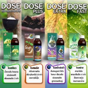 Dose โดส ฮอร์โมนพืช อาหารเสริมพืช เร่งผลผลิต เร่งใบ เร่งต้น เร่งดอก เร่งนํ้ายาง เร่งโต โตไว ใบเขียว เพิ่มผลผลิต ป้องกันเชื้อรา