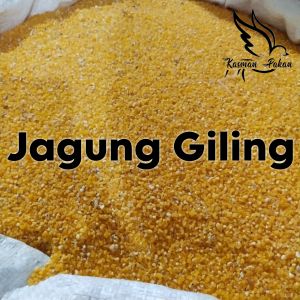 Jagung Giling Burung Merpati