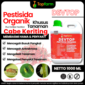 Obat Semprot Daun Cabe Keriting / Obat Untuk Daun Cabe Yg Keriting / Obat Tanaman Cabe Keriting Daun / Obat Cabe Keriting Dan Kuning/ Obat Keriting Daun Cabe Ampuh / Obat Cabe Keriting Daun