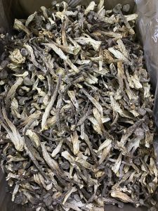 Nấm Lộc Nhung Khô Cao Cấp - Nguyên Cây Không Vụn - Nấm Quý Nấu Canh Bồi Bổ Sức Khỏe