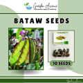 BATAW SEEDS/HABITSUWELAS SEEDS (10 PCS SEEDS) - FOR GARDEN/HYBRID/EASY TO GROW. 