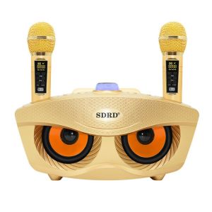 VERMILL Owl Wireless Bluetooth Speaker Dual Microphones Audio Equipment Karaoke Player Portable SD306 Dual Microphones Speaker Family Party