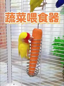 Parrot feeder stainless steel spring hook food fruit basket vegetable feeder bird supplies gadget bird feeder hanging toy parrot feeding gadget bird cage accessories supplies