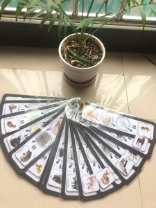 Học Liệu Đoán Con Vật- Đồ Chơi Giáo Dục Sớm- Đồ Chơi Thông Minh An Toàn Cho Bé Từ 2 Tuổi