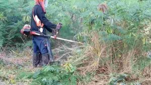 ใบมีดตัดหญ้าตัดเตียน ชุดใบตรง 2 ใบงอ 2