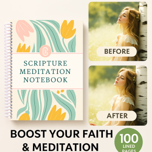 My First Bible Stories The Bible In 52 Weeks A Yearlong Bible Study Spiral Bible Study Guide Guide With Suggested Reading Biblical Work PaperBook圣经书 52周学习指南