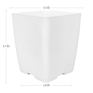 กระถาง กระถางสี่เหลี่ยม ขนาด 3.3 นิ้ว (สีขาว) Bundle 20 ใบ ชิ้น อัน