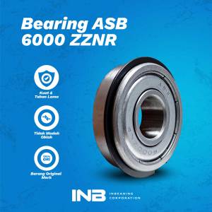 Laker Bearing  6000 ZZNR ASB INB Original ASB