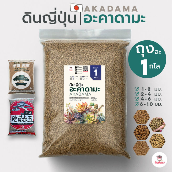 10 อันดับ ดินอะคาดามะ (Akadama Soil) ยี่ห้อไหนดีสำหรับแคคตัส ไม้อวบน้ำ และบอนไซ อัปเดตปี 2025