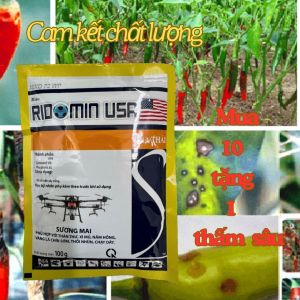 RIDOMIN USA 100gr BỘT XANH MUA 10 TẶNG 1 THẤM SÂU 100ML: THÁN THƯ VÀNG LÁ CHÍN SỚM CHẠY DÂY