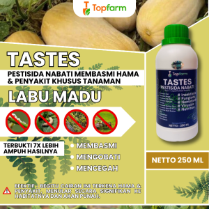 Obat Hama Daun Labu / Obat Hama Labu Kuning / Obat Hama Sayuran Labu / Obat Hama Tanaman Labu / Obat Hama Labu / Obat Pembasmi Hama Tanaman Buah Labu