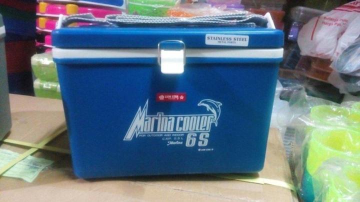 Cooler best sale box kecil