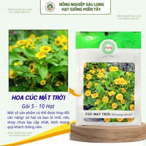 Gói 5-10 Hạt Giống Hoa Cúc Mặt Trời Melampodium – Hoa Vàng Sáng Ra Hoa Liên Tục Cây Cao 15-30CM