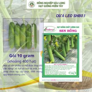GÓI 10G (350 HẠT) - HẠT GIỐNG DƯA LEO SH 80.1 SEN HỒNG - GIỐNG MỚI NĂNG SUẤT VƯỢT TRỘI