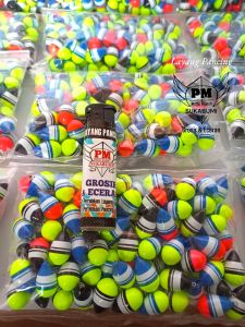 PLAMPUNG PANCING BIJIAN MODEL BIJI MELINJO 100.PCS