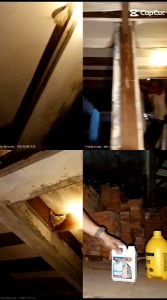 Parfum pemikat Walet 5 Liter PARFUM WALET JAWARA 5 liter AROMA pemikat walet parfum sirip parfum dinding CANDU walet