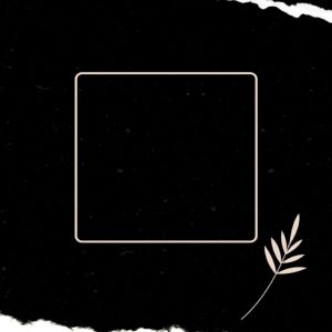 Celana Pendek Gaya Korea: Panduan Lengkap